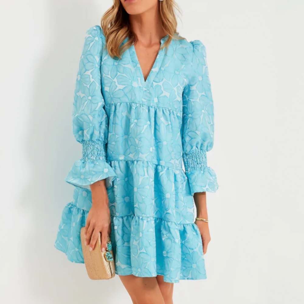 Tuckernuck - Pomander Place - Blue Daisy Jacquard Fancy Kenzo Dress